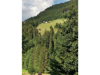 Holiday house Hirschegg im Kleinwalsertal Environment 14