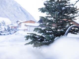 Ferienhaus Neustift im Stubaital Außenaufnahme 7