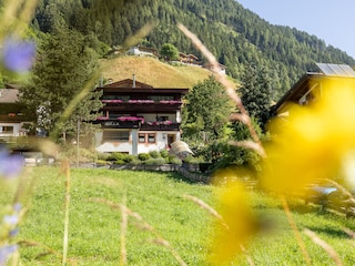 Ferienhaus Neustift im Stubaital Außenaufnahme 12