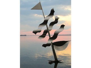 Holiday apartment Steinhude Environment 26