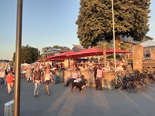 Holiday apartment Steinhude Environment 23