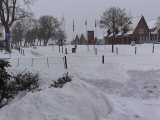 Holiday apartment Steinhude Environment 31