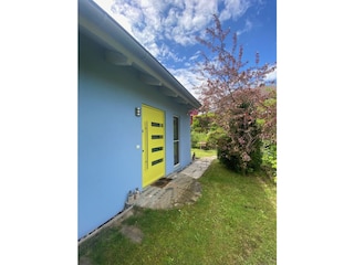 Plaumenblüte am Haus