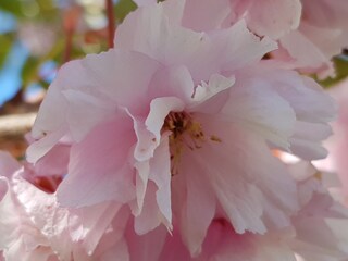 Casa per le vacanze Breege Ambiente 32
