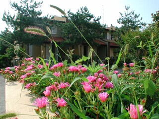 Blick auf eine Ferienhaus