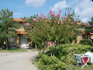 Blick auf die Villen des Delta Blu Residence Village