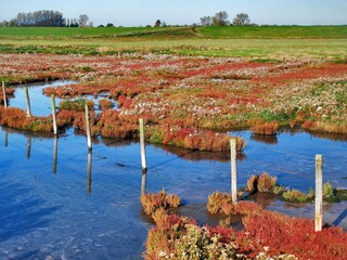 Casa per le vacanze Brouwershaven Ambiente 35