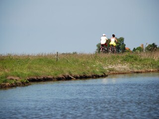 Casa per le vacanze Brouwershaven Ambiente 36