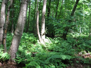 Casa per le vacanze Brouwershaven Ambiente 18