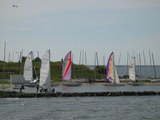 Vakantiehuis Brouwershaven Omgeving 13