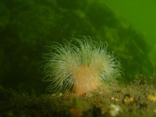 Casa per le vacanze Brouwershaven Ambiente 17