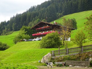 Vakantieappartement Mittersill Buitenaudio-opname 4