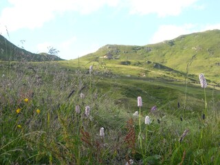 Appartamento per vacanze Mittersill Ambiente 14