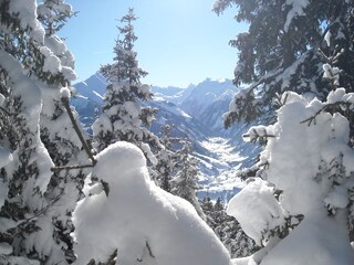 Appartamento per vacanze Mittersill Ambiente 22