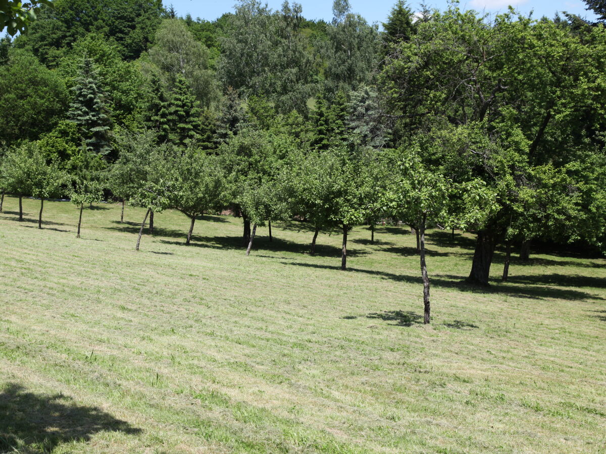 Obstwiese