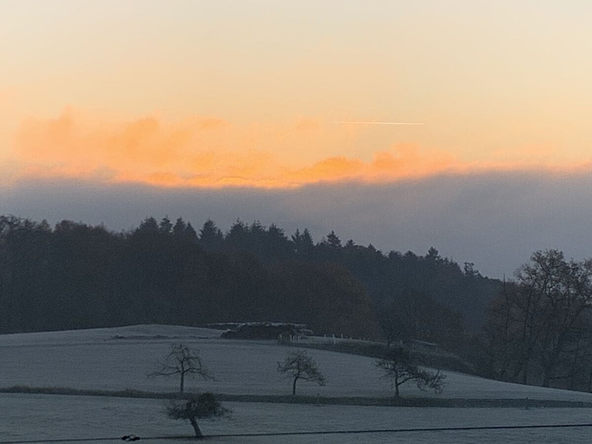 Sonnenaufgang mit Raureif