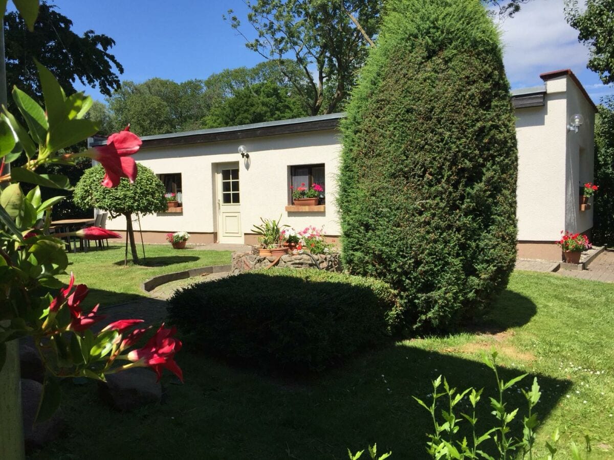 Ferienhaus Saal in Vorpommern Außenaufnahme 1