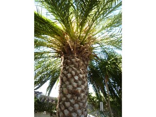 Vakantiehuis Cabanas Buitenaudio-opname 7