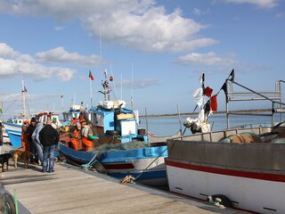 Casa per le vacanze Cabanas Ambiente 16