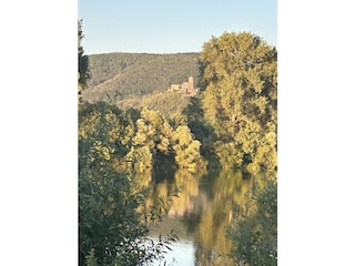 Blick auf die Burg in Bernkastel