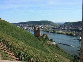 Ferienwohnung Rüdesheim am Rhein Umgebung 26