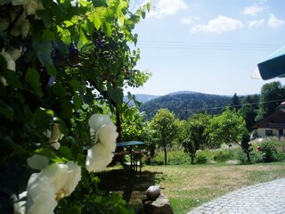 Vakantieappartement Wegscheid Omgeving 5