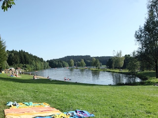 Vakantieappartement Wegscheid  28