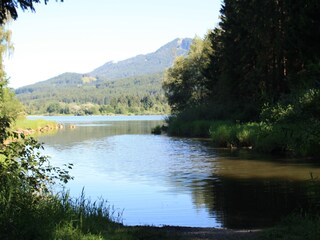 Wanderung um den Grüntensee