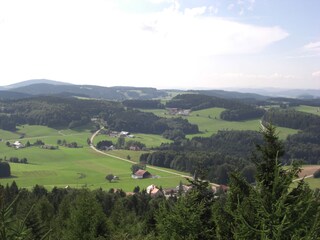 Wanderung am Friedrichsberg