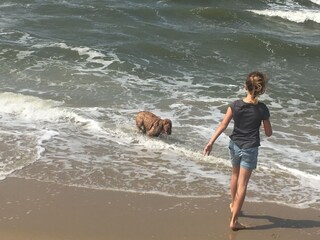 Casa per le vacanze Julianadorp Ambiente 32