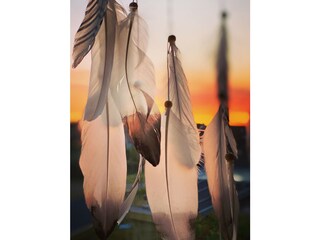 Casa per le vacanze Julianadorp Caratteristiche 24