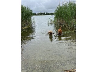 Benachbarter Wanzkaer See