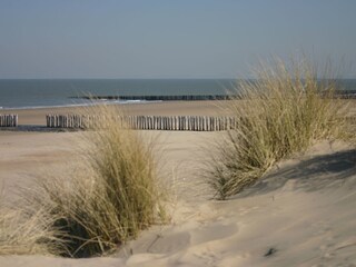 Appartamento Cadzand-Bad Ambiente 10