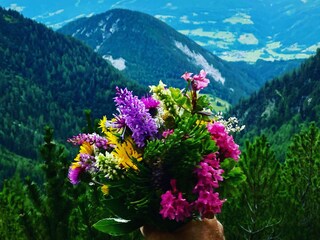 Appartement Ramsau am Dachstein Environnement 27