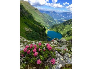 Bergsee Schladming Dachstein