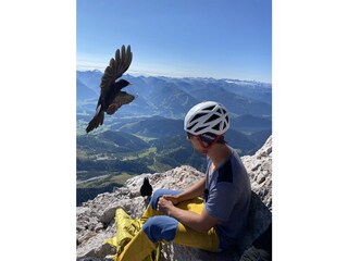 Appartement Ramsau am Dachstein Omgeving 30