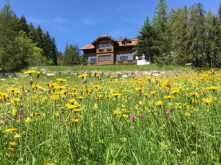Apartamento Ramsau am Dachstein Grabación al aire libre 5
