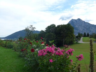 Casa de vacaciones Altmünster Entorno 31