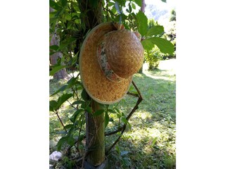 Casa de vacaciones Altmünster Grabación al aire libre 9