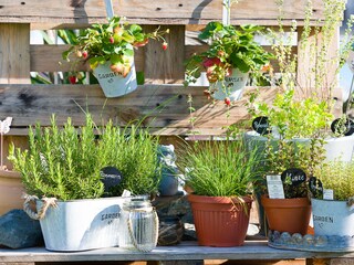 Appartamento per vacanze Unterburg - Klopeiner See Registrazione all'aperto 5