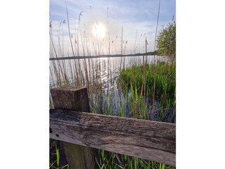 Blick auf das Zwischenahner Meer