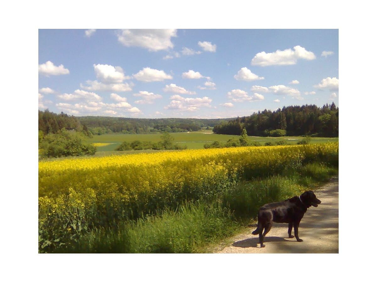 Ein Maispaziergang von der Haustür weg