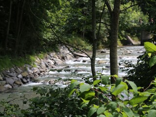 Appartamento per vacanze Bolsterlang Ambiente 18