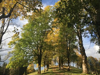 Es herbstelt im Allgäu