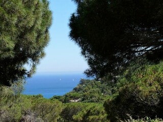 Appartamento per vacanze Ramatuelle Ambiente 20