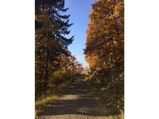 Appartamento per vacanze Rieden (Eifel) Ambiente 25