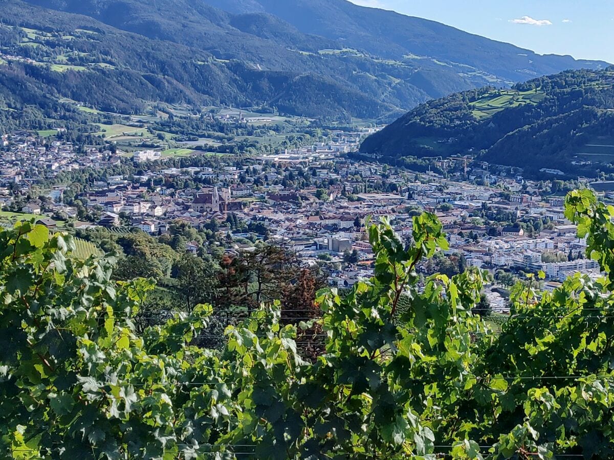 Aussicht vom Weinberg - Brixen