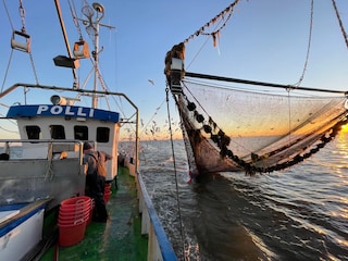 Krabbenkutter beim Fischfang