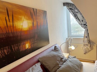 Fenster mit Fliegengitter und Verdunkelungsvorhang