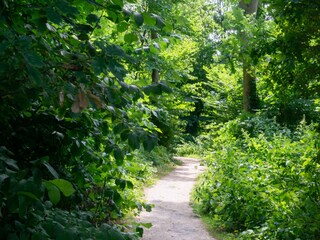 Appartamento per vacanze Zoutelande Ambiente 14